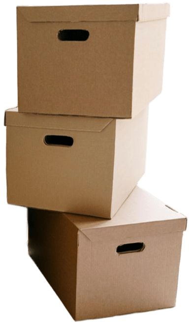 WhatsApp Image 2026-03-07 at 12.38.42 PM