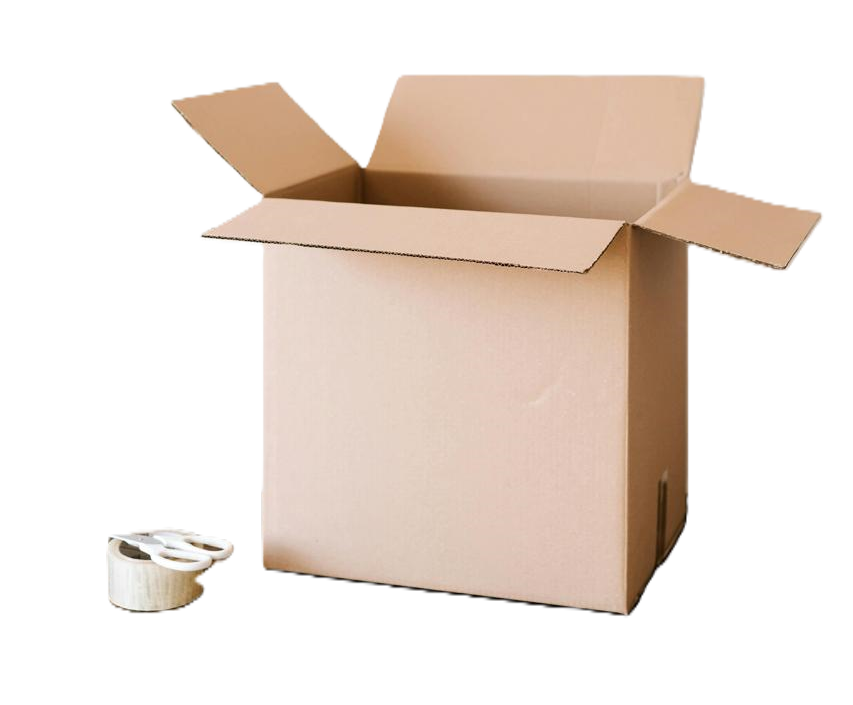 WhatsApp Image 2026-03-07 at 12.38.52 PM