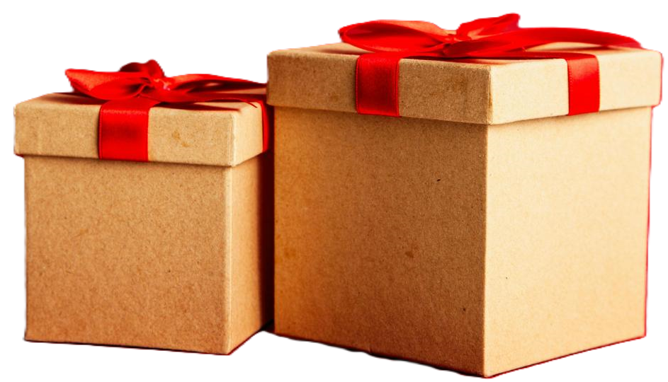 WhatsApp Image 2026-03-07 at 12.39.09 PM