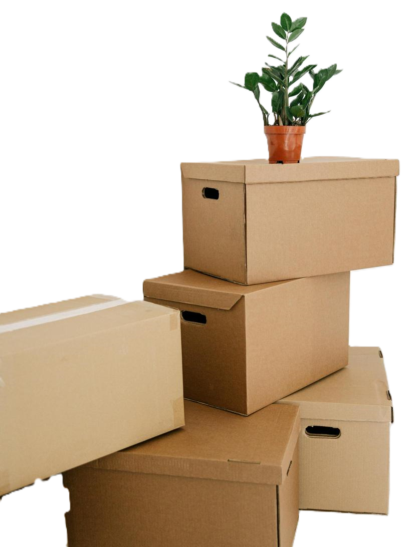 WhatsApp Image 2026-03-07 at 12.39.58 PM